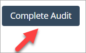 audit_-_complete_audit.png
