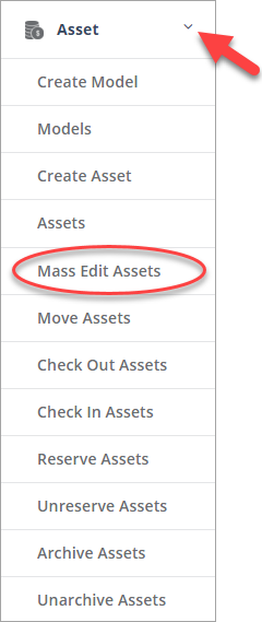 assets_-_side_menu_-_mass_edit.png